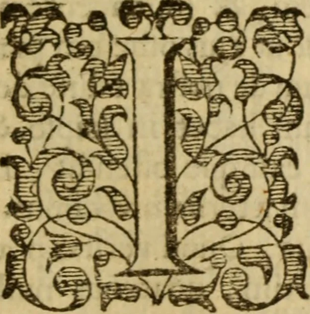 An illustration from Expositio analytica omnium Apostolicarum Epistolarum, seu, Brevis introductio ad pleniores commentarios : in usum studiosorum theologiae, 1647, leaf 768