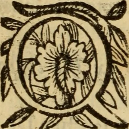 An illustration from Expositio analytica omnium Apostolicarum Epistolarum, seu, Brevis introductio ad pleniores commentarios : in usum studiosorum theologiae, 1647, leaf 77