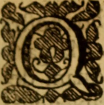 An illustration from Expositio analytica omnium Apostolicarum Epistolarum, seu, Brevis introductio ad pleniores commentarios : in usum studiosorum theologiae, 1647, leaf 8