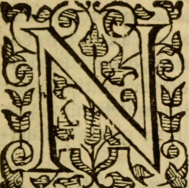 An illustration from Expositio analytica omnium Apostolicarum Epistolarum, seu, Brevis introductio ad pleniores commentarios : in usum studiosorum theologiae, 1647, leaf 810