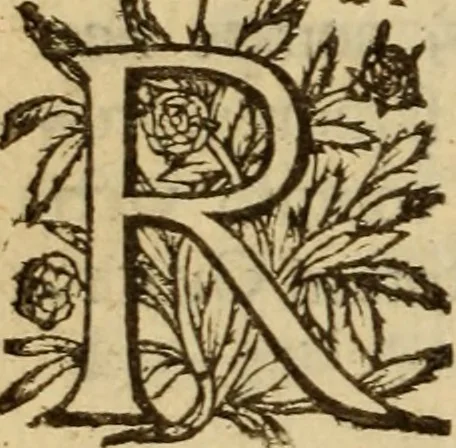 An illustration from Expositio analytica omnium Apostolicarum Epistolarum, seu, Brevis introductio ad pleniores commentarios : in usum studiosorum theologiae, 1647, leaf 89