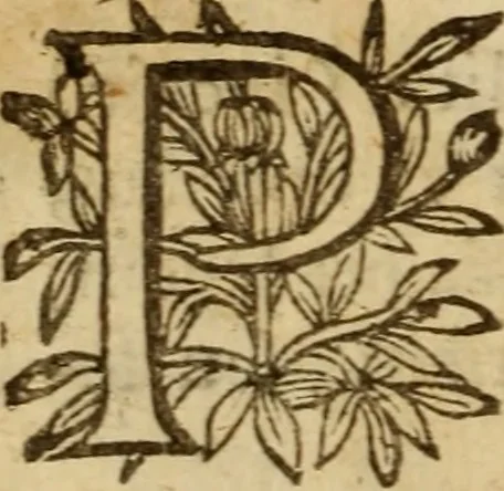 An illustration from Expositio analytica omnium Apostolicarum Epistolarum, seu, Brevis introductio ad pleniores commentarios : in usum studiosorum theologiae, 1647, leaf 99