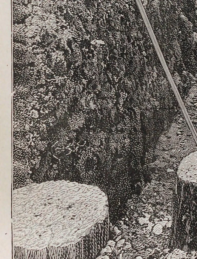 An illustration from L'Exposition de Paris (1900), 1900, leaf 125
