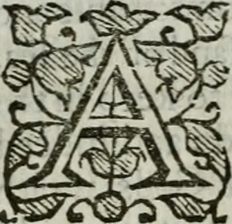 An illustration from An exposition of the prophesie of Hosea, begun in divers lectures, upon the first three chapters, at Michaels, Cornhill, London, 1643, leaf 123