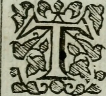 An illustration from An exposition of the prophesie of Hosea, begun in divers lectures, upon the first three chapters, at Michaels, Cornhill, London, 1643, leaf 30
