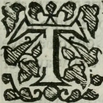 An illustration from An exposition of the prophesie of Hosea, begun in divers lectures, upon the first three chapters, at Michaels, Cornhill, London, 1643, leaf 356