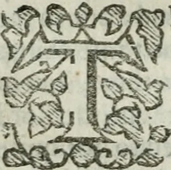 An illustration from An exposition of the prophesie of Hosea, begun in divers lectures, upon the first three chapters, at Michaels, Cornhill, London, 1643, leaf 501