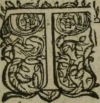 An illustration from An exposition vpon the Epistle to the Colossians ... Being, the substance of neare seuen yeeres weeke-dayes sermons, 1615, leaf 202