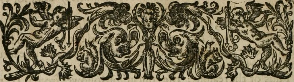 An illustration from An exposition vpon the Epistle to the Colossians ... Being, the substance of neare seuen yeeres weeke-dayes sermons, 1615, leaf 205