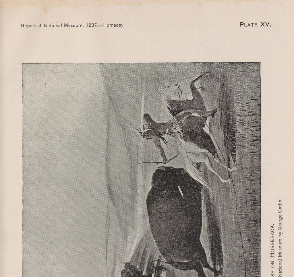 An illustration from The extermination of the American bison, 1889, leaf 149