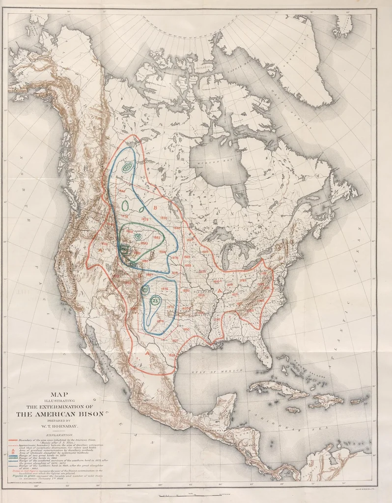 An illustration from The extermination of the American bison, 1889, leaf 241