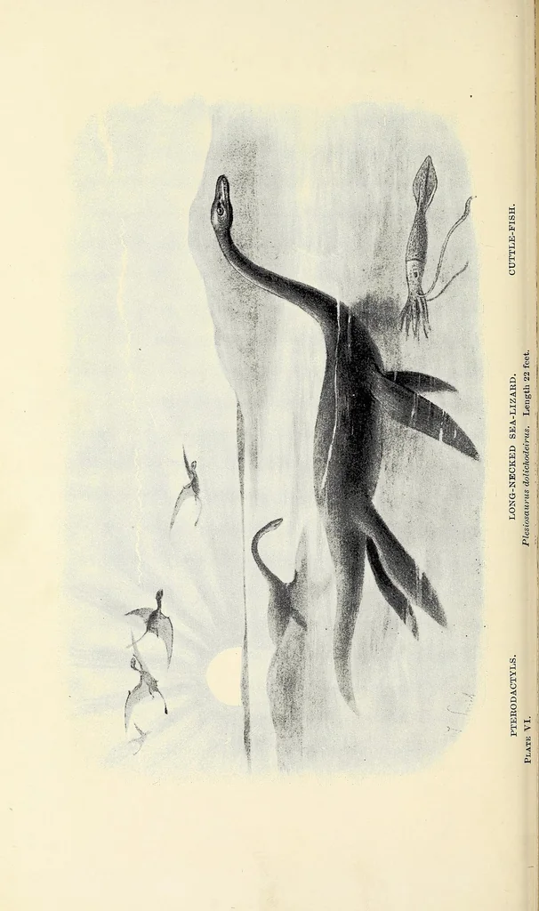 An illustration from Extinct monsters and creatures of other days: a popular account of some of the larger forms of ancient animal life, 1911, leaf 138