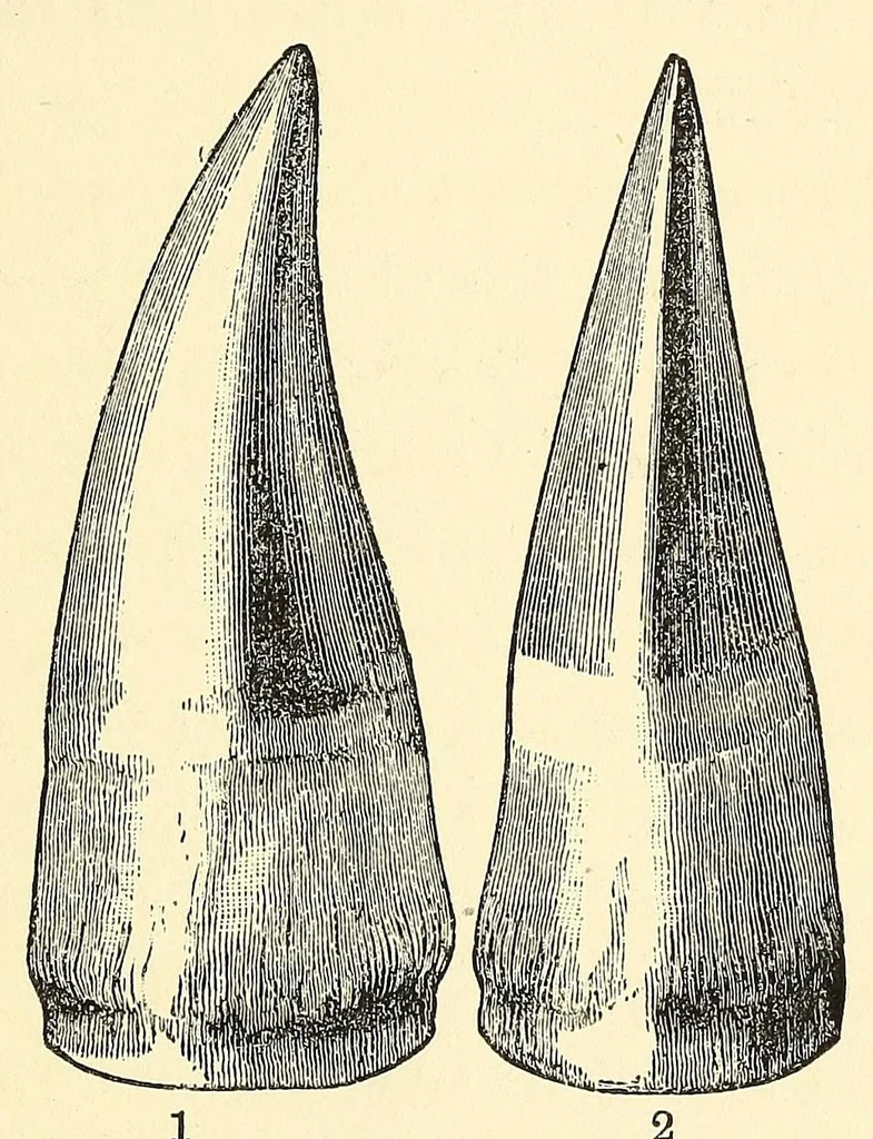 An illustration from Extinct monsters and creatures of other days: a popular account of some of the larger forms of ancient animal life, 1911, leaf 295
