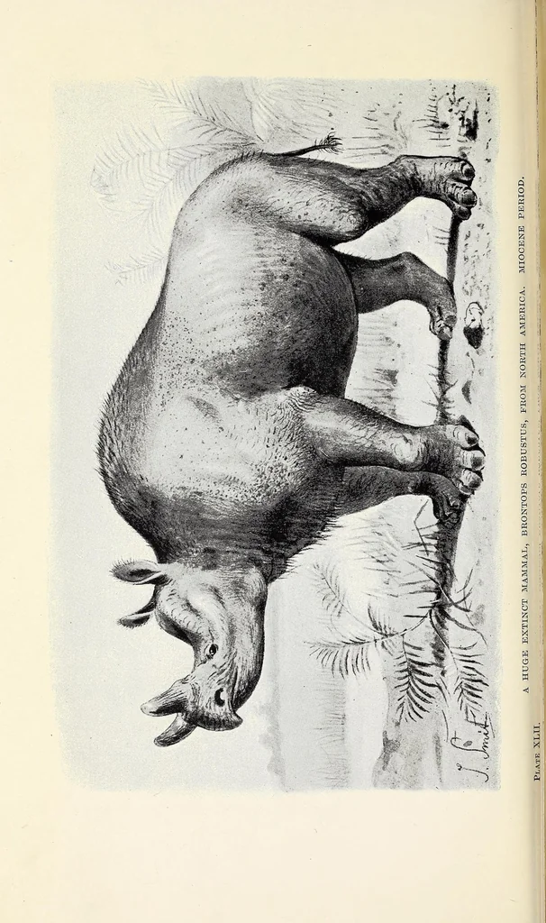 An illustration from Extinct monsters and creatures of other days: a popular account of some of the larger forms of ancient animal life, 1911, leaf 386