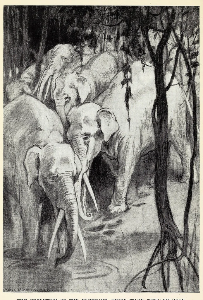 An illustration from Extinct monsters and creatures of other days: a popular account of some of the larger forms of ancient animal life, 1911, leaf 402