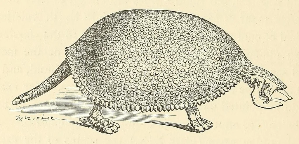 An illustration from Extinct monsters : a popular account of some of the larger forms of ancient animal life, 1893, leaf 304