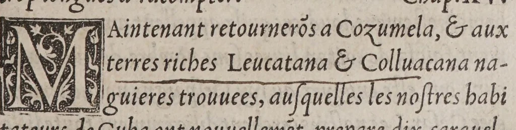 An illustration from Extraict ou recueil des isles nouuelleme[n]t trouuees en la grand mer oceane ou temps du roy Despaigne Ferna[n]d & Elizabeth sa femme,, 1532, leaf 305