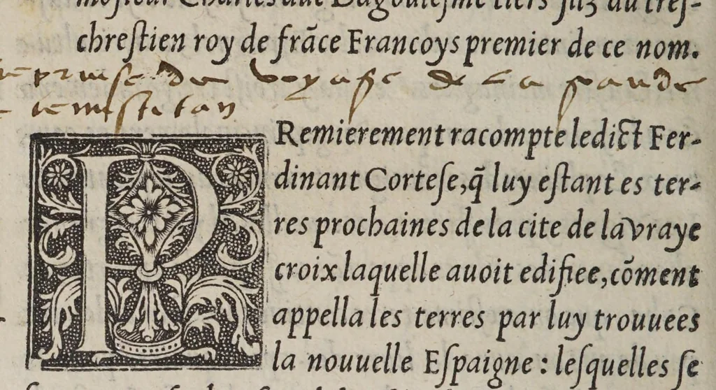 An illustration from Extraict ou recueil des isles nouuelleme[n]t trouuees en la grand mer oceane ou temps du roy Despaigne Ferna[n]d & Elizabeth sa femme,, 1532, leaf 332