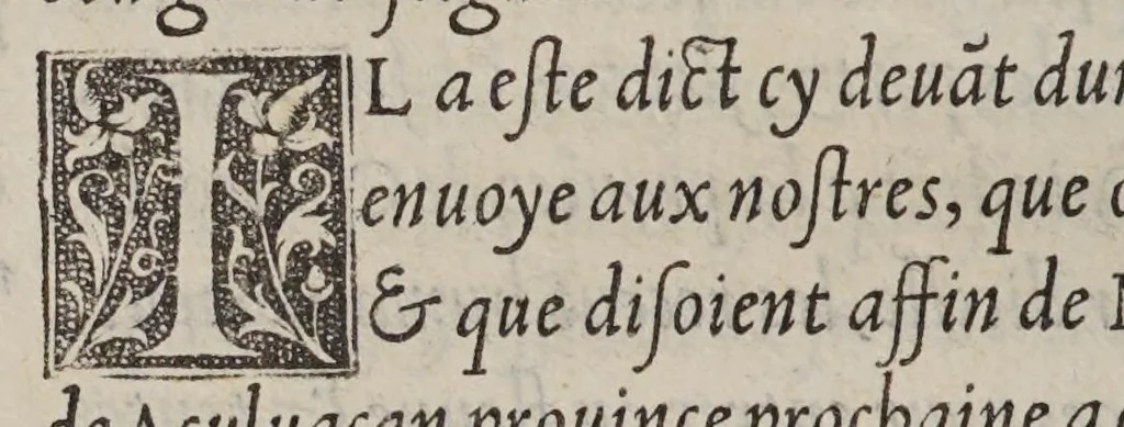 An illustration from Extraict ou recueil des isles nouuelleme[n]t trouuees en la grand mer oceane ou temps du roy Despaigne Ferna[n]d & Elizabeth sa femme,, 1532, leaf 372
