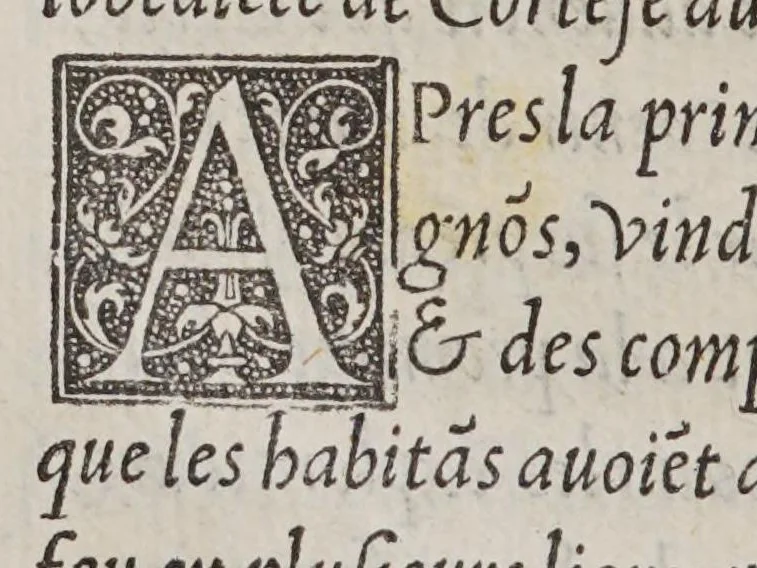 An illustration from Extraict ou recueil des isles nouuelleme[n]t trouuees en la grand mer oceane ou temps du roy Despaigne Ferna[n]d & Elizabeth sa femme,, 1532, leaf 384