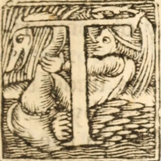 An illustration from An exposition on the whole book of Solomons Song, commonly called the Canticles : wherein the text is explained, and usefull observations raised thereupon, 1652, leaf 270