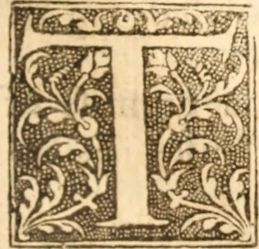 An illustration from An exposition on the whole book of Solomons Song, commonly called the Canticles : wherein the text is explained, and usefull observations raised thereupon, 1652, leaf 462