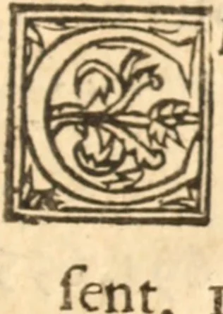 An illustration from An exposition on the whole book of Solomons Song, commonly called the Canticles : wherein the text is explained, and usefull observations raised thereupon, 1652, leaf 796