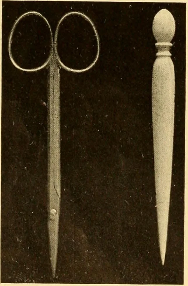 An illustration from Eyelet embroidery and its future possibilities, 1905, leaf 6