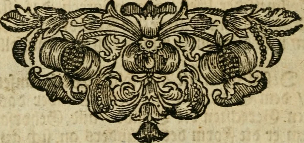 An illustration from Eyfer-schallende und andacht-funcklende marianische Lob-Trompeten, oder, Uber der glorwürdigsten Himmels-Königin Mariae vornehmste Feste : als dero heilwärtige Empfängnuss, erfreuliche Geburt löbliche Opferung ... Sinn-Bildern gezierte Lob-Reden ..., 1696, leaf 449