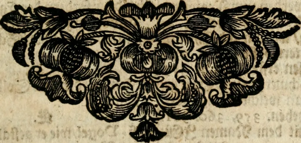 An illustration from Eyfer-schallende und andacht-funcklende marianische Lob-Trompeten, oder, Uber der glorwürdigsten Himmels-Königin Mariae vornehmste Feste : als dero heilwärtige Empfängnuss, erfreuliche Geburt löbliche Opferung ... Sinn-Bildern gezierte Lob-Reden ..., 1696, leaf 478