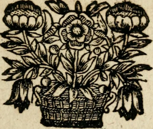 An illustration from Eyfer-schallende und andacht-funcklende marianische Lob-Trompeten, oder, Uber der glorwürdigsten Himmels-Königin Mariae vornehmste Feste : als dero heilwärtige Empfängnuss, erfreuliche Geburt löbliche Opferung ... Sinn-Bildern gezierte Lob-Reden ..., 1696, leaf 482
