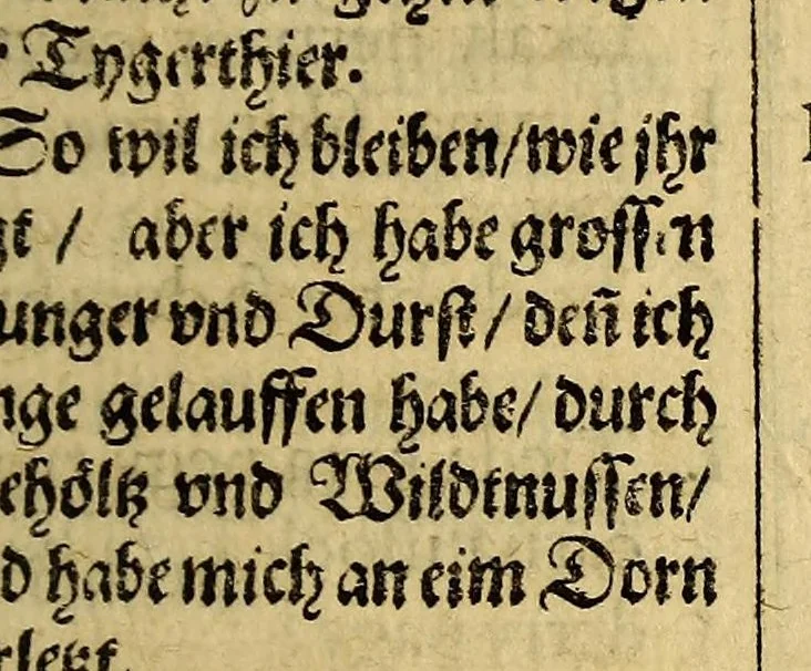 An illustration from Eylffter Schiffart ander Theil, oder Kurtzer Verfolg vnd Continuirung der Reyse, so von den Holl- vnd Seeländen in die Ost-Indien mit neun grossen vnd vier kleinen Schiffen vom 1607. biss in das 1612. Jahr, vnter der Admiralschafft Peter Wilhelm Verhuffen verrichtet worden, beneben etlichen Colloquien vnd Gesprechen, in Teutscher, Malaischer vnd Madagascarischer Sprach beschrieben, allen so der Ost-Indianischen Reyse sich gebrauchen, fast nutz vnd notwendig zu lesen &c., 1613, leaf 107