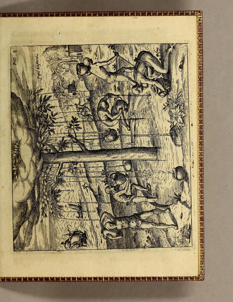 An illustration from Eylffte Schiffart, oder Kurtze Beschreibung einer Reyse, so von den Holländern vnd Seeländern, in die Ost Indien, mit neun grossen vnd vier kleinen Jagschiffen, vnder der Admiralschafft Peter Wilhelm Verhuffen, &c. in Jahren 1607. 1608. vnd 1609. verrichtet worden, neben vermeldung, was jhnen sonderlich begegnet sey., 1623, leaf 17