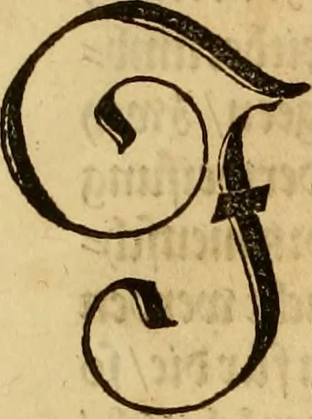 An illustration from Eyn schön nützlich Büchlin vnd Vnderweisung der Kunst des Messens mit dem Zirckel, Richtscheidt oder Linial : zu nutz allen Kunstliebhabern fürnemlich den Malern, Bildhawern, Goldschmiden, Seidenstikern, Steynmetzen, Scheinern auch allen Andern so sich der Kunst des Messens (Perspectiua zü latin gnant) zügebrauchen Lust haben : darin Man auch solche Kunst leichter dan ausz etzlichen hieuorgetruckten Büchern begreiffen vn lernen mag mit vil [i.e., 56] schönen darzü dienenden Figuren, 1531, leaf 11