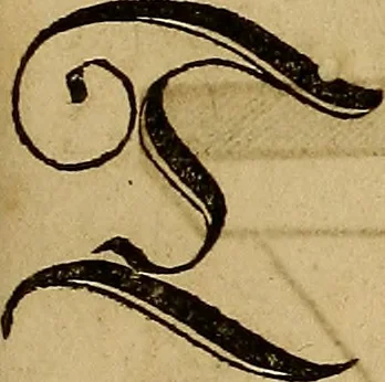 An illustration from Eyn schön nützlich Büchlin vnd Vnderweisung der Kunst des Messens mit dem Zirckel, Richtscheidt oder Linial : zu nutz allen Kunstliebhabern fürnemlich den Malern, Bildhawern, Goldschmiden, Seidenstikern, Steynmetzen, Scheinern auch allen Andern so sich der Kunst des Messens (Perspectiua zü latin gnant) zügebrauchen Lust haben : darin Man auch solche Kunst leichter dan ausz etzlichen hieuorgetruckten Büchern begreiffen vn lernen mag mit vil [i.e., 56] schönen darzü dienenden Figuren, 1531, leaf 20