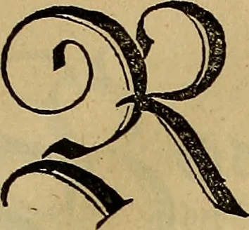 An illustration from Eyn schön nützlich Büchlin vnd Vnderweisung der Kunst des Messens mit dem Zirckel, Richtscheidt oder Linial : zu nutz allen Kunstliebhabern fürnemlich den Malern, Bildhawern, Goldschmiden, Seidenstikern, Steynmetzen, Scheinern auch allen Andern so sich der Kunst des Messens (Perspectiua zü latin gnant) zügebrauchen Lust haben : darin Man auch solche Kunst leichter dan ausz etzlichen hieuorgetruckten Büchern begreiffen vn lernen mag mit vil [i.e., 56] schönen darzü dienenden Figuren, 1531, leaf 24