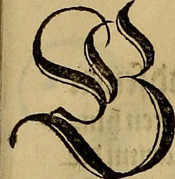 An illustration from Eyn schön nützlich Büchlin vnd Vnderweisung der Kunst des Messens mit dem Zirckel, Richtscheidt oder Linial : zu nutz allen Kunstliebhabern fürnemlich den Malern, Bildhawern, Goldschmiden, Seidenstikern, Steynmetzen, Scheinern auch allen Andern so sich der Kunst des Messens (Perspectiua zü latin gnant) zügebrauchen Lust haben : darin Man auch solche Kunst leichter dan ausz etzlichen hieuorgetruckten Büchern begreiffen vn lernen mag mit vil [i.e., 56] schönen darzü dienenden Figuren, 1531, leaf 26