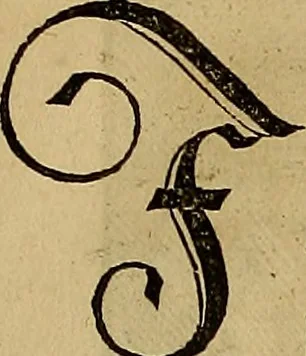 An illustration from Eyn schön nützlich Büchlin vnd Vnderweisung der Kunst des Messens mit dem Zirckel, Richtscheidt oder Linial : zu nutz allen Kunstliebhabern fürnemlich den Malern, Bildhawern, Goldschmiden, Seidenstikern, Steynmetzen, Scheinern auch allen Andern so sich der Kunst des Messens (Perspectiua zü latin gnant) zügebrauchen Lust haben : darin Man auch solche Kunst leichter dan ausz etzlichen hieuorgetruckten Büchern begreiffen vn lernen mag mit vil [i.e., 56] schönen darzü dienenden Figuren, 1531, leaf 28