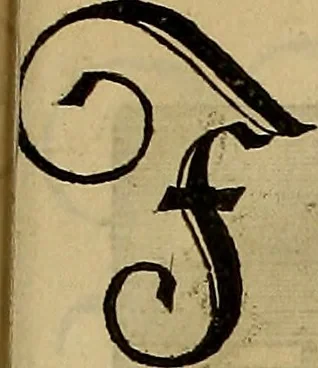 An illustration from Eyn schön nützlich Büchlin vnd Vnderweisung der Kunst des Messens mit dem Zirckel, Richtscheidt oder Linial : zu nutz allen Kunstliebhabern fürnemlich den Malern, Bildhawern, Goldschmiden, Seidenstikern, Steynmetzen, Scheinern auch allen Andern so sich der Kunst des Messens (Perspectiua zü latin gnant) zügebrauchen Lust haben : darin Man auch solche Kunst leichter dan ausz etzlichen hieuorgetruckten Büchern begreiffen vn lernen mag mit vil [i.e., 56] schönen darzü dienenden Figuren, 1531, leaf 32