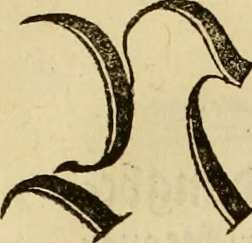An illustration from Eyn schön nützlich Büchlin vnd Vnderweisung der Kunst des Messens mit dem Zirckel, Richtscheidt oder Linial : zu nutz allen Kunstliebhabern fürnemlich den Malern, Bildhawern, Goldschmiden, Seidenstikern, Steynmetzen, Scheinern auch allen Andern so sich der Kunst des Messens (Perspectiua zü latin gnant) zügebrauchen Lust haben : darin Man auch solche Kunst leichter dan ausz etzlichen hieuorgetruckten Büchern begreiffen vn lernen mag mit vil [i.e., 56] schönen darzü dienenden Figuren, 1531, leaf 53