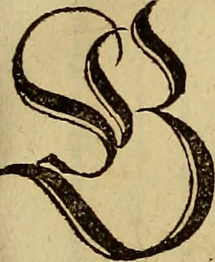 An illustration from Eyn schön nützlich Büchlin vnd Vnderweisung der Kunst des Messens mit dem Zirckel, Richtscheidt oder Linial : zu nutz allen Kunstliebhabern fürnemlich den Malern, Bildhawern, Goldschmiden, Seidenstikern, Steynmetzen, Scheinern auch allen Andern so sich der Kunst des Messens (Perspectiua zü latin gnant) zügebrauchen Lust haben : darin Man auch solche Kunst leichter dan ausz etzlichen hieuorgetruckten Büchern begreiffen vn lernen mag mit vil [i.e., 56] schönen darzü dienenden Figuren, 1531, leaf 54