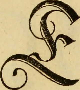 An illustration from Eyn schön nützlich Büchlin vnd Vnderweisung der Kunst des Messens mit dem Zirckel, Richtscheidt oder Linial : zu nutz allen Kunstliebhabern fürnemlich den Malern, Bildhawern, Goldschmiden, Seidenstikern, Steynmetzen, Scheinern auch allen Andern so sich der Kunst des Messens (Perspectiua zü latin gnant) zügebrauchen Lust haben : darin Man auch solche Kunst leichter dan ausz etzlichen hieuorgetruckten Büchern begreiffen vn lernen mag mit vil [i.e., 56] schönen darzü dienenden Figuren, 1531, leaf 55