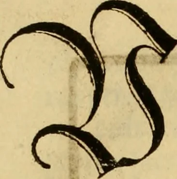 An illustration from Eyn schön nützlich Büchlin vnd Vnderweisung der Kunst des Messens mit dem Zirckel, Richtscheidt oder Linial : zu nutz allen Kunstliebhabern fürnemlich den Malern, Bildhawern, Goldschmiden, Seidenstikern, Steynmetzen, Scheinern auch allen Andern so sich der Kunst des Messens (Perspectiua zü latin gnant) zügebrauchen Lust haben : darin Man auch solche Kunst leichter dan ausz etzlichen hieuorgetruckten Büchern begreiffen vn lernen mag mit vil [i.e., 56] schönen darzü dienenden Figuren, 1531, leaf 77