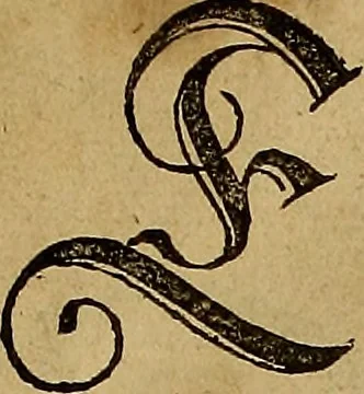 An illustration from Eyn schön nützlich Büchlin vnd Vnderweisung der Kunst des Messens mit dem Zirckel, Richtscheidt oder Linial : zu nutz allen Kunstliebhabern fürnemlich den Malern, Bildhawern, Goldschmiden, Seidenstikern, Steynmetzen, Scheinern auch allen Andern so sich der Kunst des Messens (Perspectiua zü latin gnant) zügebrauchen Lust haben : darin Man auch solche Kunst leichter dan ausz etzlichen hieuorgetruckten Büchern begreiffen vn lernen mag mit vil [i.e., 56] schönen darzü dienenden Figuren, 1531, leaf 8