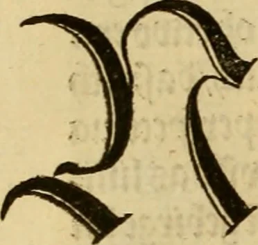 An illustration from Eyn schön nützlich Büchlin vnd Vnderweisung der Kunst des Messens mit dem Zirckel, Richtscheidt oder Linial : zu nutz allen Kunstliebhabern fürnemlich den Malern, Bildhawern, Goldschmiden, Seidenstikern, Steynmetzen, Scheinern auch allen Andern so sich der Kunst des Messens (Perspectiua zü latin gnant) zügebrauchen Lust haben : darin Man auch solche Kunst leichter dan ausz etzlichen hieuorgetruckten Büchern begreiffen vn lernen mag mit vil [i.e., 56] schönen darzü dienenden Figuren, 1531, leaf 81