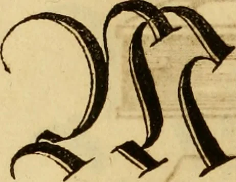 An illustration from Eyn schön nützlich Büchlin vnd Vnderweisung der Kunst des Messens mit dem Zirckel, Richtscheidt oder Linial : zu nutz allen Kunstliebhabern fürnemlich den Malern, Bildhawern, Goldschmiden, Seidenstikern, Steynmetzen, Scheinern auch allen Andern so sich der Kunst des Messens (Perspectiua zü latin gnant) zügebrauchen Lust haben : darin Man auch solche Kunst leichter dan ausz etzlichen hieuorgetruckten Büchern begreiffen vn lernen mag mit vil [i.e., 56] schönen darzü dienenden Figuren, 1531, leaf 83