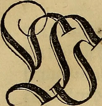 An illustration from Eyn schön nützlich Büchlin vnd Vnderweisung der Kunst des Messens mit dem Zirckel, Richtscheidt oder Linial : zu nutz allen Kunstliebhabern fürnemlich den Malern, Bildhawern, Goldschmiden, Seidenstikern, Steynmetzen, Scheinern auch allen Andern so sich der Kunst des Messens (Perspectiua zü latin gnant) zügebrauchen Lust haben : darin Man auch solche Kunst leichter dan ausz etzlichen hieuorgetruckten Büchern begreiffen vn lernen mag mit vil [i.e., 56] schönen darzü dienenden Figuren, 1531, leaf 84