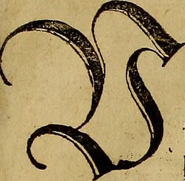 An illustration from Eyn schön nützlich Büchlin vnd Vnderweisung der Kunst des Messens mit dem Zirckel, Richtscheidt oder Linial : zu nutz allen Kunstliebhabern fürnemlich den Malern, Bildhawern, Goldschmiden, Seidenstikern, Steynmetzen, Scheinern auch allen Andern so sich der Kunst des Messens (Perspectiua zü latin gnant) zügebrauchen Lust haben : darin Man auch solche Kunst leichter dan ausz etzlichen hieuorgetruckten Büchern begreiffen vn lernen mag mit vil [i.e., 56] schönen darzü dienenden Figuren, 1531, leaf 96