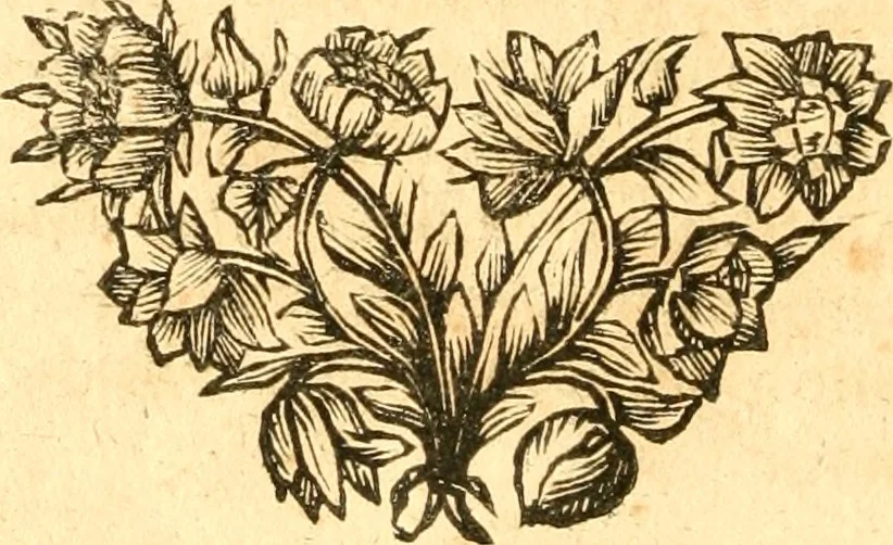 An illustration from Fabii Columnæ, Lyncei, nobilis Neapolitani, genere Romani, Opusculum de Purpura : Romae primùm, an. 1616 editum, & nunc iterùm luci datum, operâ ac studio Johann-Danielis Majoris ... cujus novissimè accesserunt annotationes quædam, 1675, leaf 63