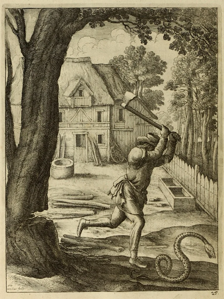 An illustration from The fables of Aesop paraphras'd in verse : adorn'd with sculpture, and illustrated with annotations, 1668, leaf 124